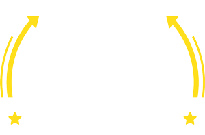 The Last Record Store in America